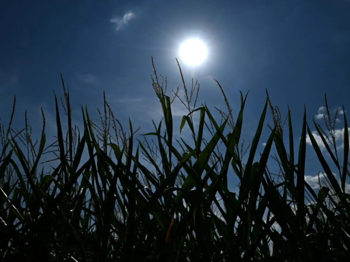 Pus de 35°C prévus pour au moins 150 millions d'Européens