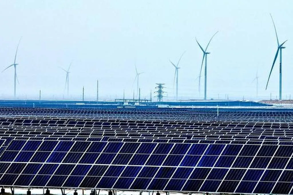 Como os 'químicos eternos' impactam a sustentabilidade