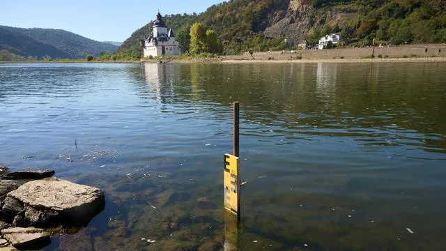 Niedrigwasser: Nach Regen leicht steigender Wasserstand im Rhein