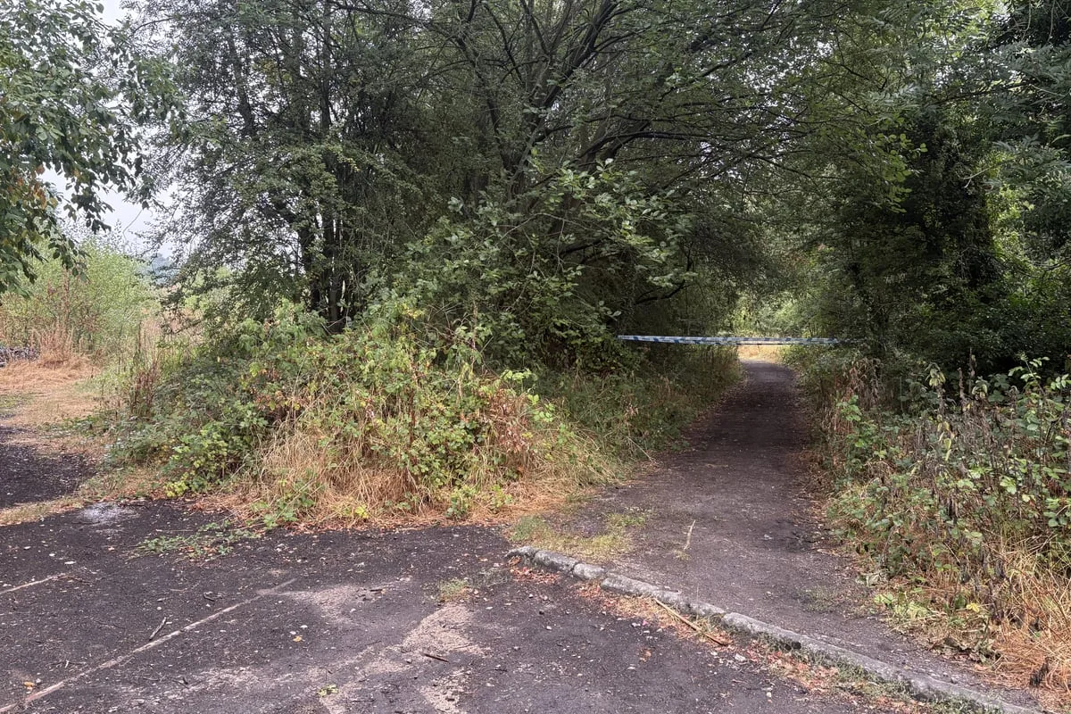 Man charged with manslaughter over death of man bitten by dog on footpath