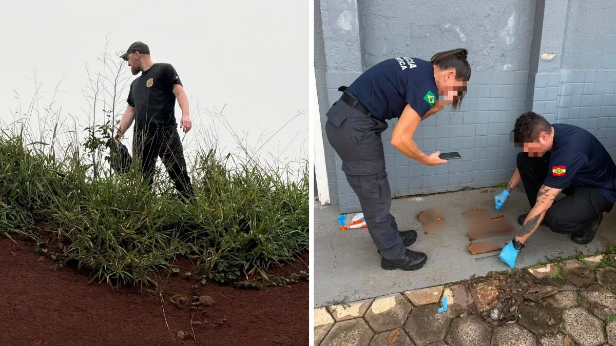 Ossada encontrada mobiliza polícia e tem desfecho inesperado em cidade de SC