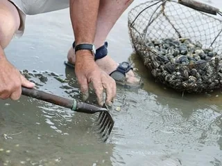 Un homme de 85 ans est mort lors d’une sortie pêche à pied dans les Côtes-d’Armor