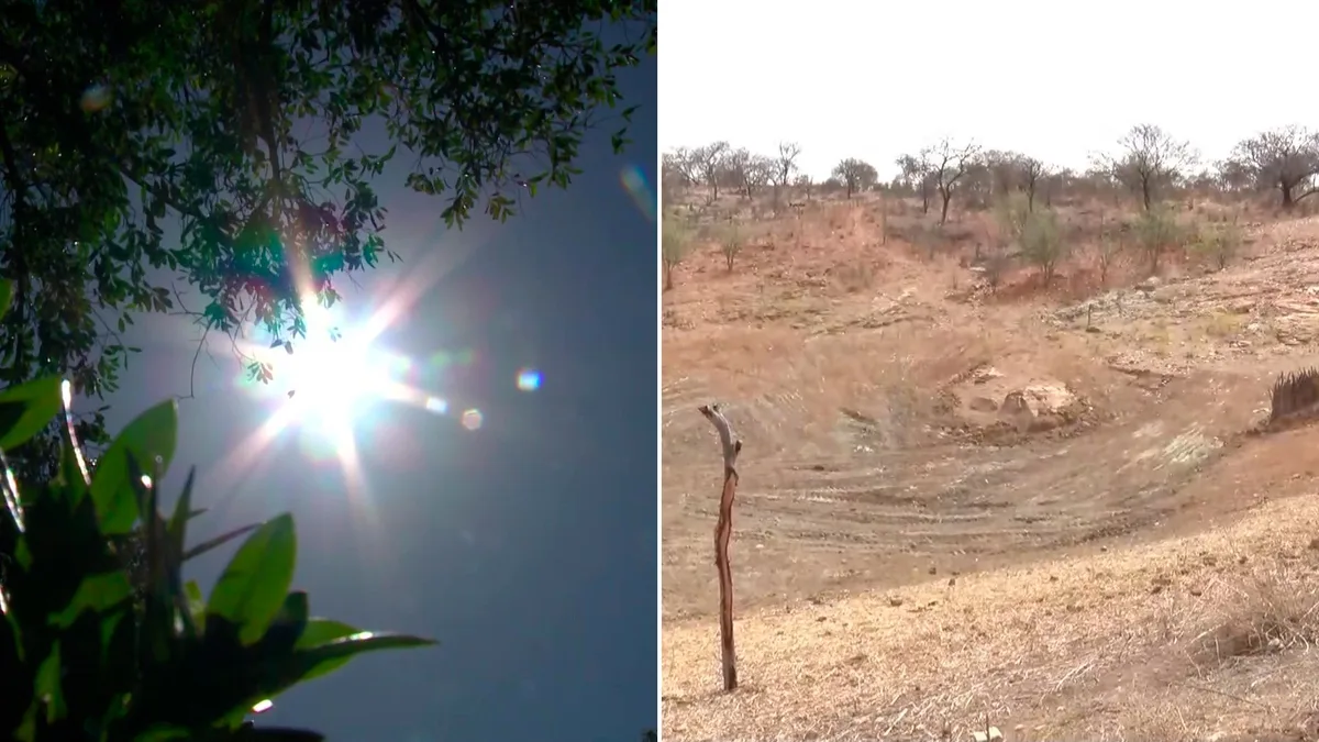 117 municípios entram em estado de emergência por seca no Piauí; veja lista