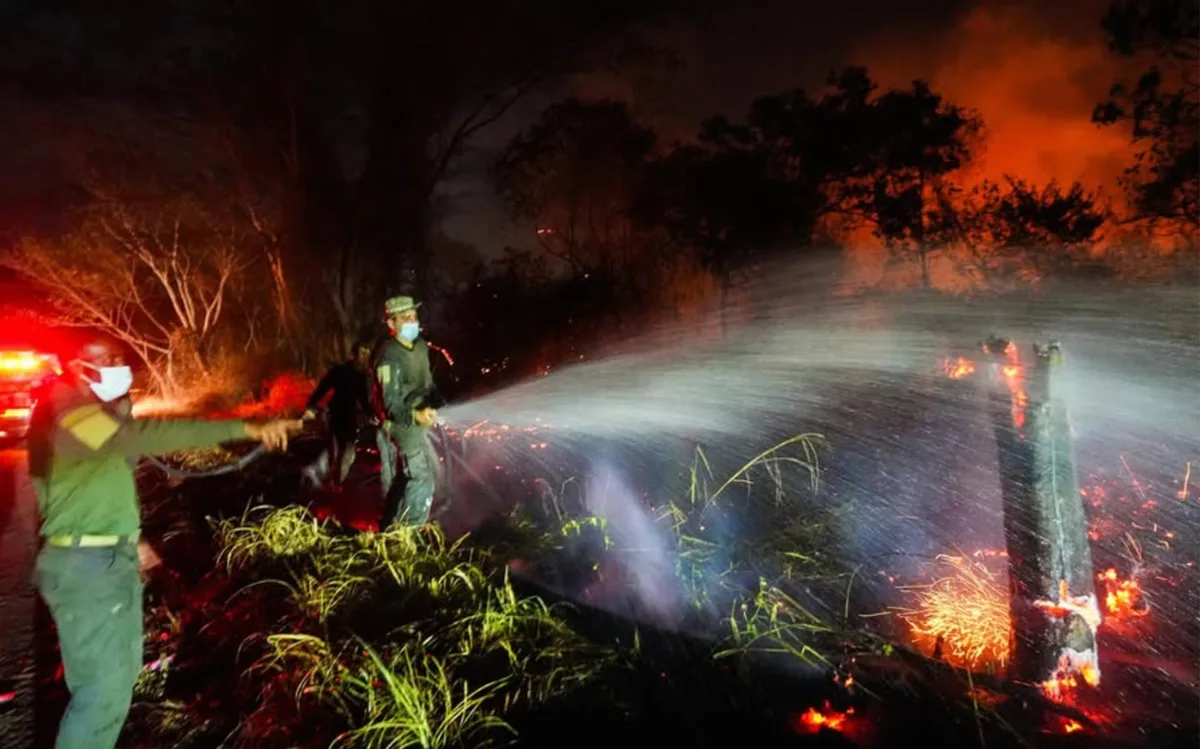 Alarma en Colombia por incendios forestales de gran magnitud que han afectado 20.000 hectáreas