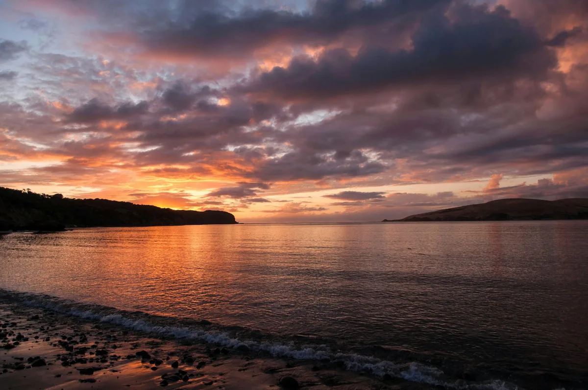 How did early Māori society develop? New research reveals a clearer timeline