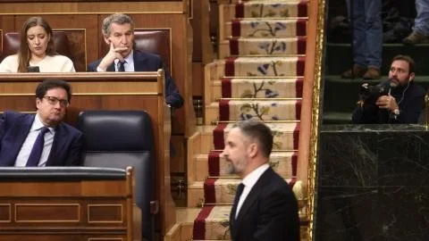 Vox exporta su ofensiva contra la violencia de género a la Ley de Violencia Vicaria y pone el foco en las madres
