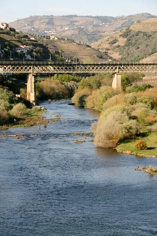 APA investiga causas da morte de peixes no rio Corgo em Vila Real