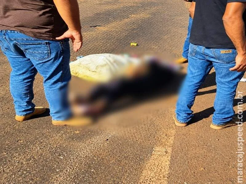 Coletora de recicláveis morre atropelada por carreta na BR-267