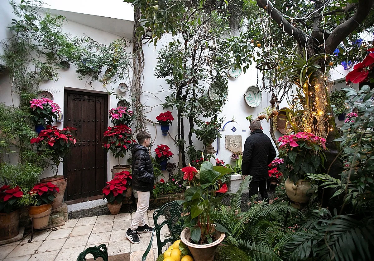 Los Patios de Córdoba abren sus puertas por Navidad: fechas, rutas y detalles