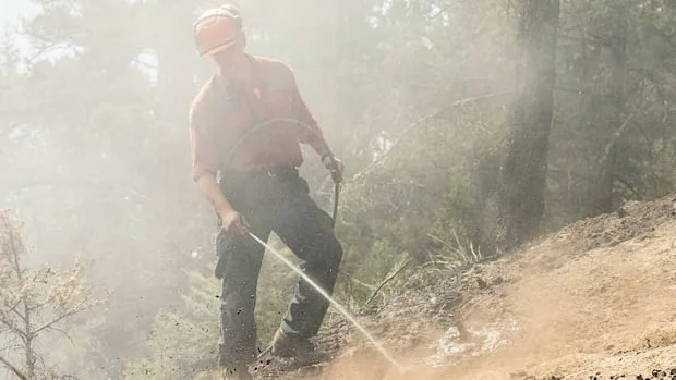 What you need to know about B.C. wildfires on Aug. 17