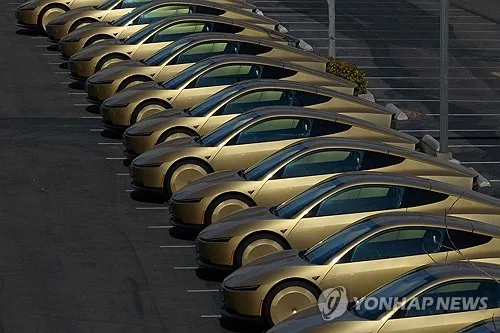 "테슬라, 사이버캡 이르면 이달 출시"