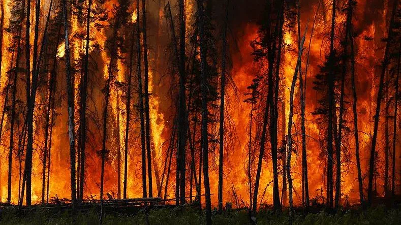 Incêndios na Europa podem aumentar 39% até ao fim do século — e quase triplicar no pior cenário