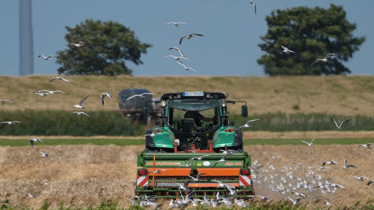 Landwirtschaft im Norden: Durchwachsene Erntebilanz in Schleswig-Holstein