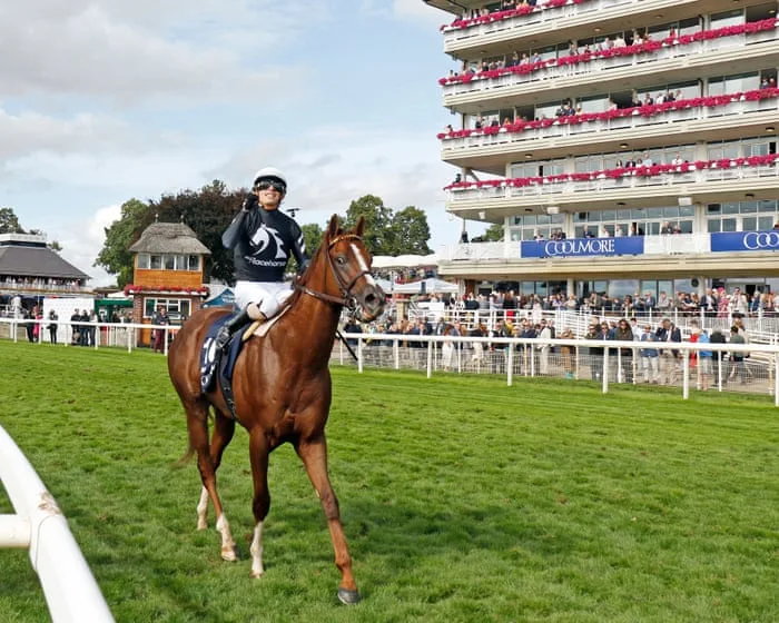‘He was all fire’: brilliant Bacio blasts to Nunthorpe Stakes success at York