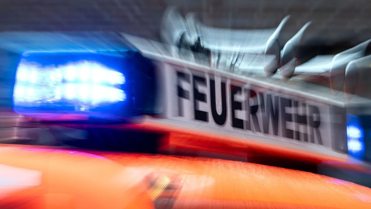 Wetter: Umgestürzte Bäume nach Gewittern
