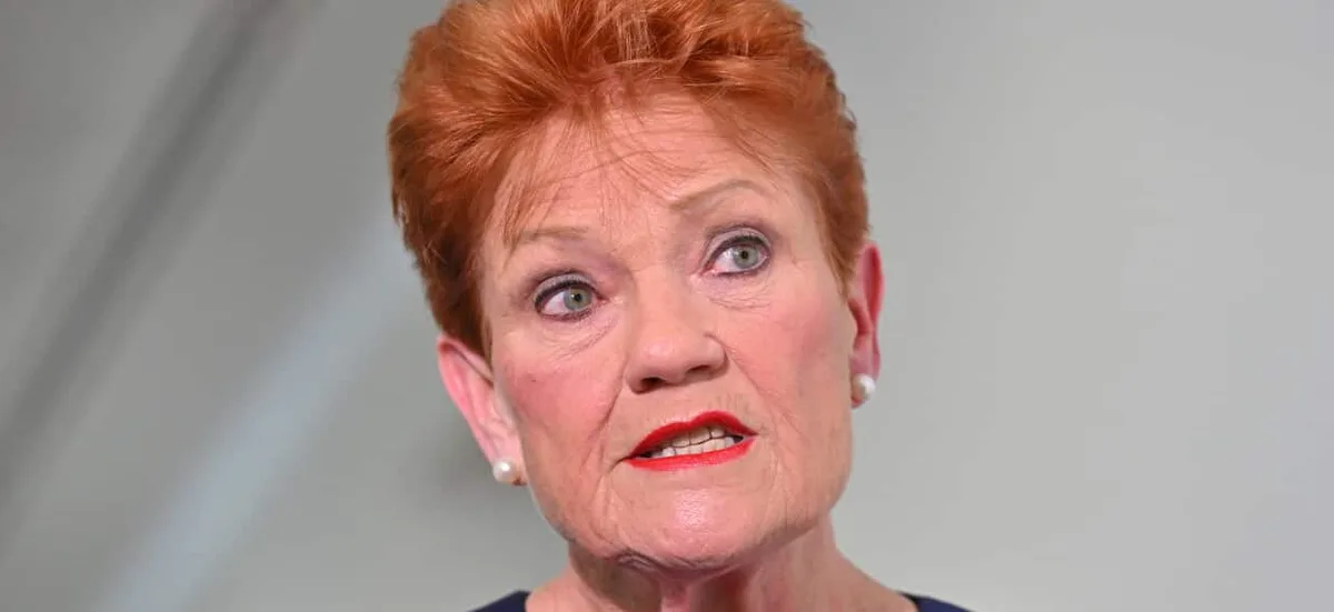 'Won't back away': Hanson's partial apology to Indigenous Australians and Albanese