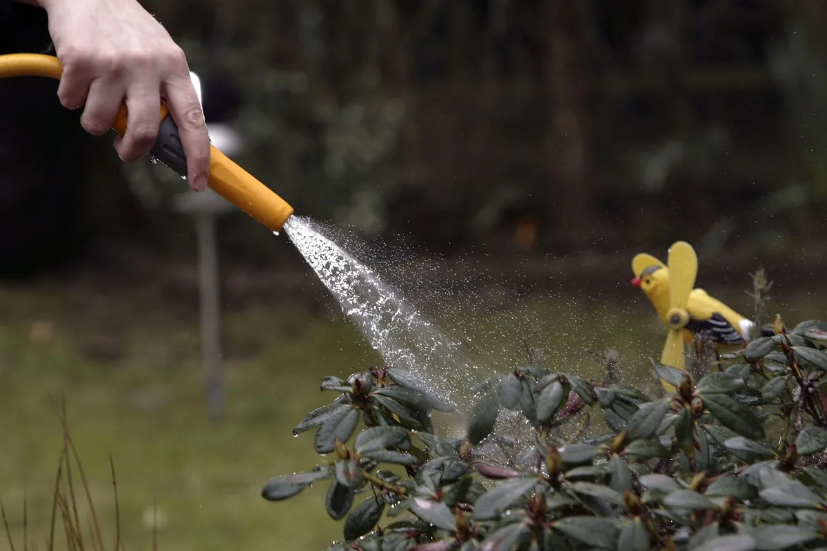 Thames Water issues hosepipe ban update as Londoners urged to make eight changes