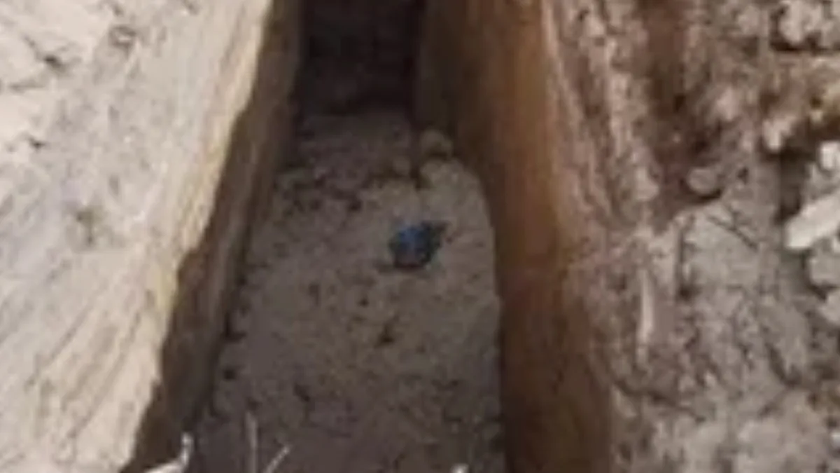 Así localizaron las fosas del ayuntamiento de Altepexi donde terminaban los perros recogidos de la calle