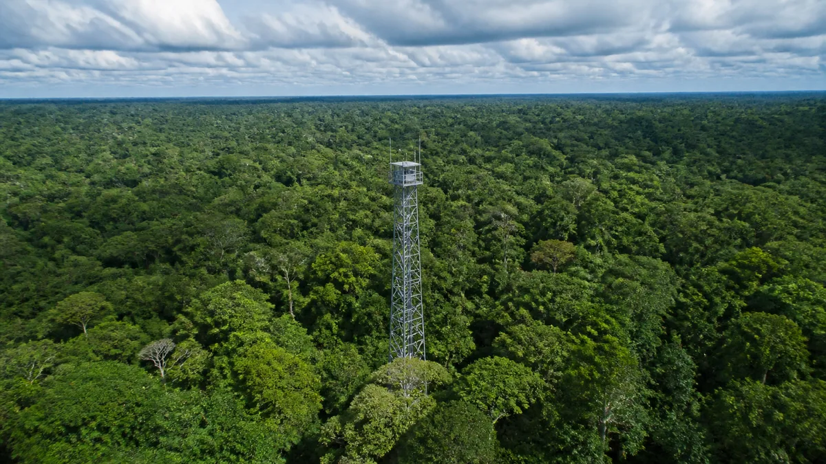 Projeto em Roraima usa mercado de carbono para manter floresta em pé