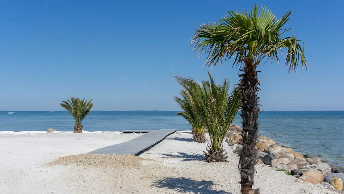 Kaum einer kennt ihn - In Dänemark gibt es einen Palmenstrand