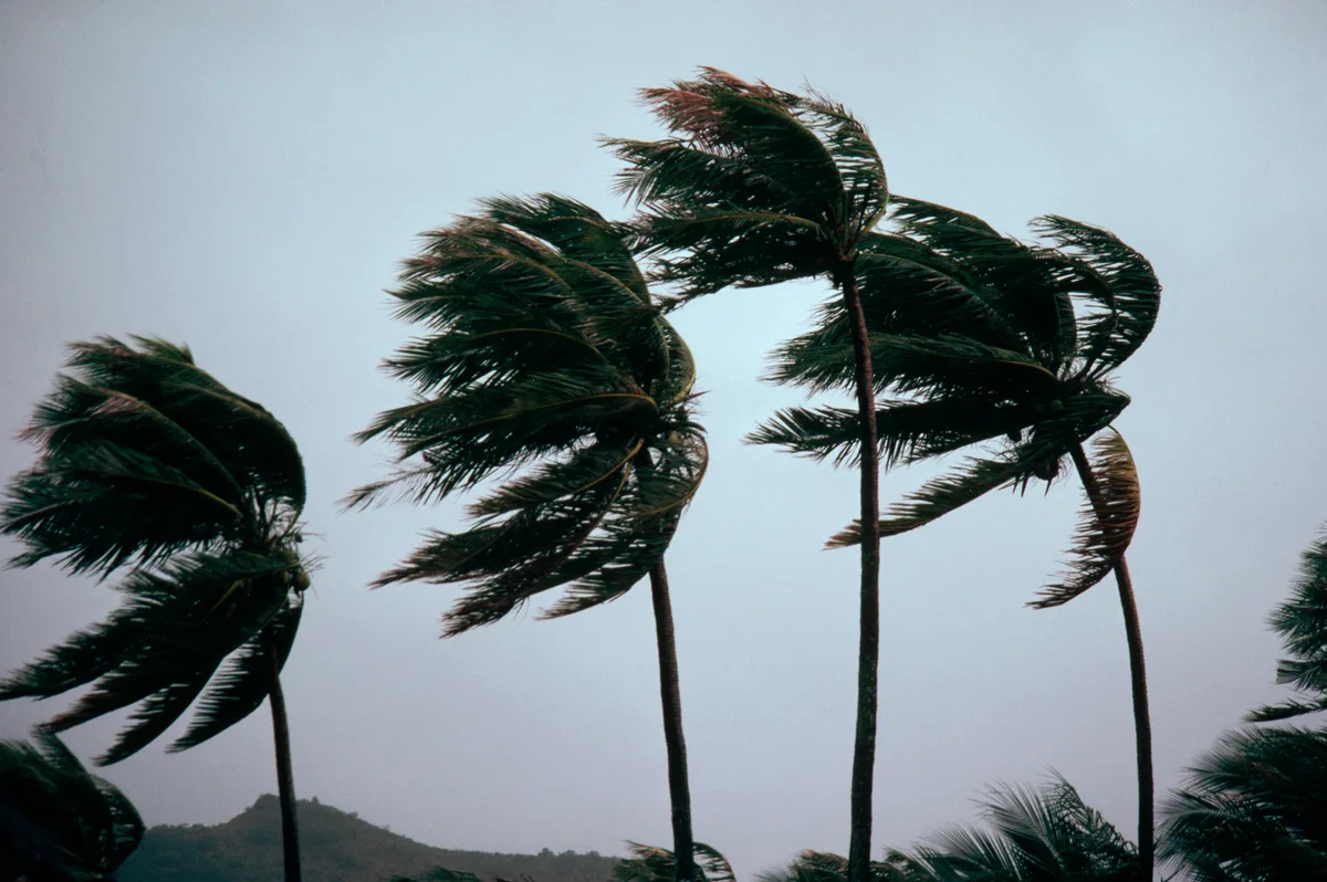 Ciclone extratropical vai atingir região do Brasil com tempestades e ventos de até 100 km/h