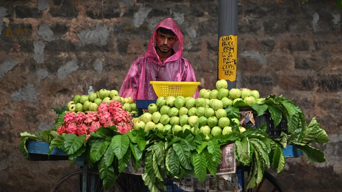 Rain slows movement on several Bengaluru roads