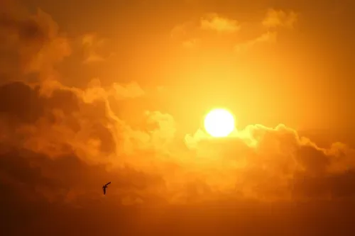 Heatwave warning for KZN and Eastern Cape as hot weather sweeps across SA