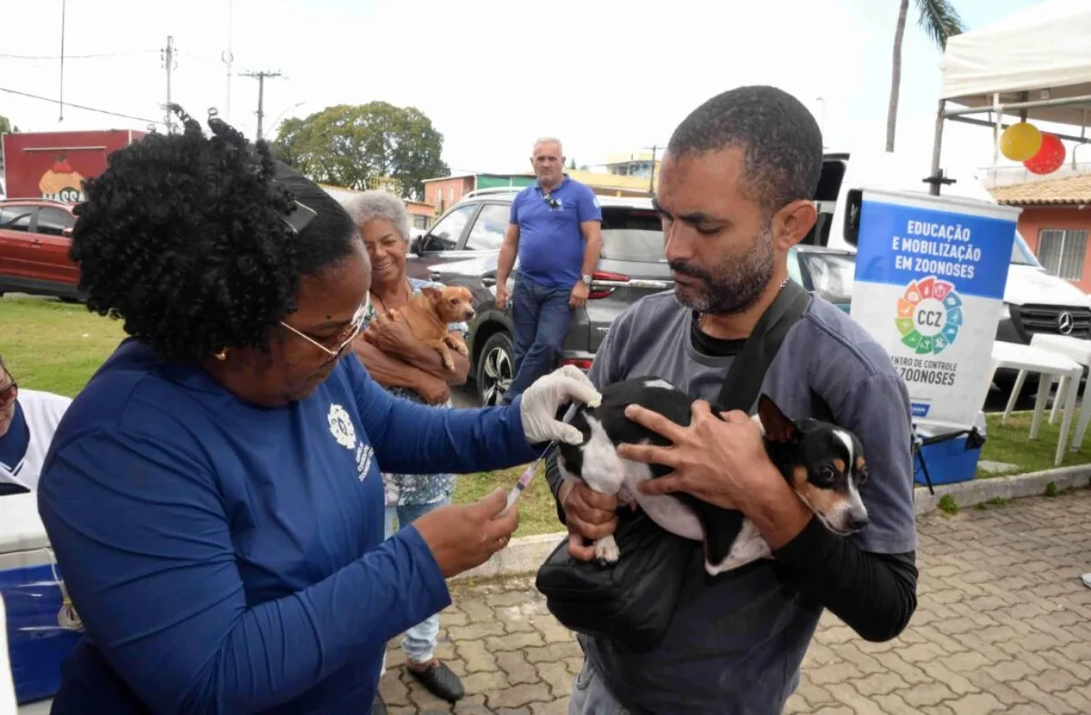 Campanha para vacinação antirrábica de cães e gatos em Salvador segue até segunda-feira; veja onde imunizar os animais