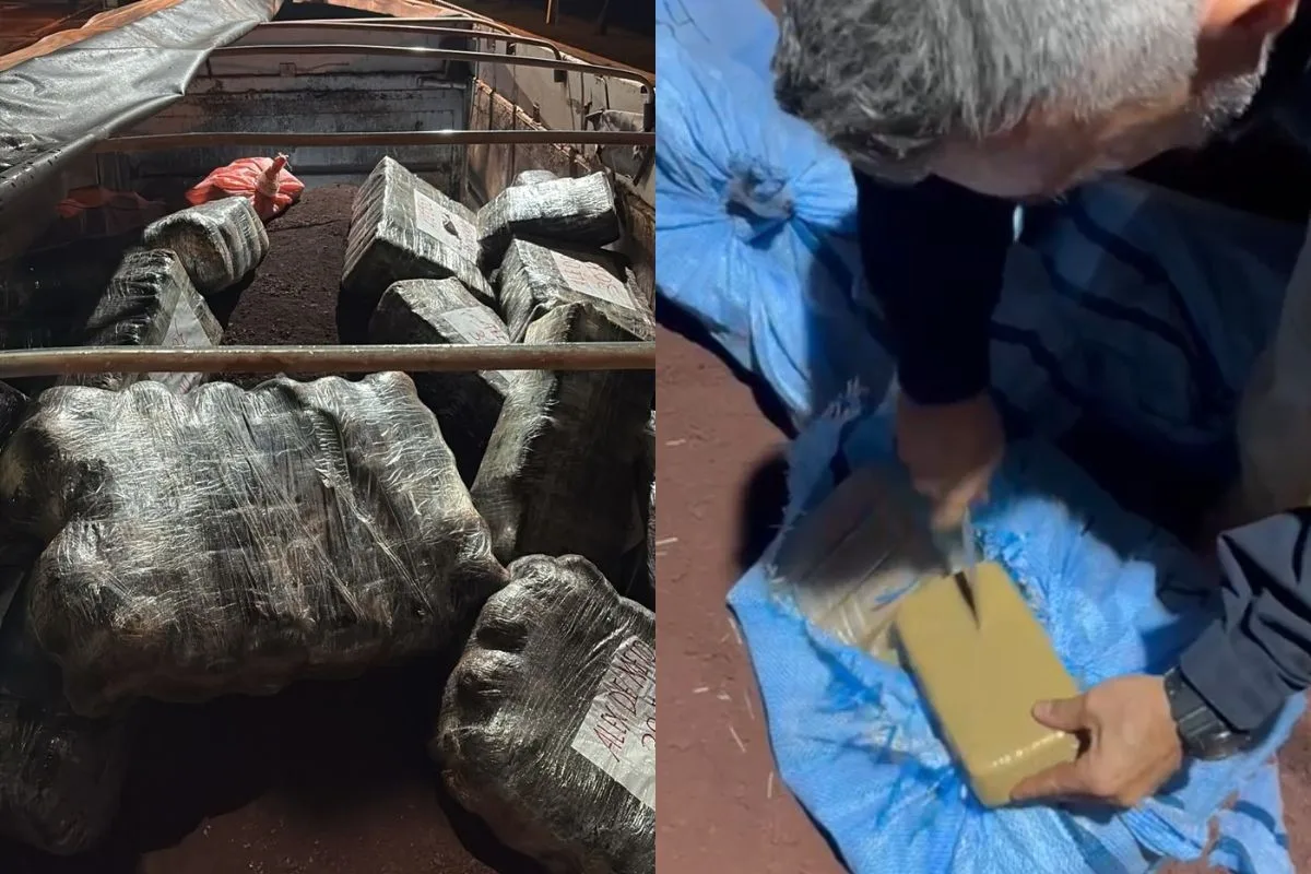 Mãos trêmulas e voz travada entregam caminhoneiro com quase 1 tonelada de cocaína e skunk em MS
