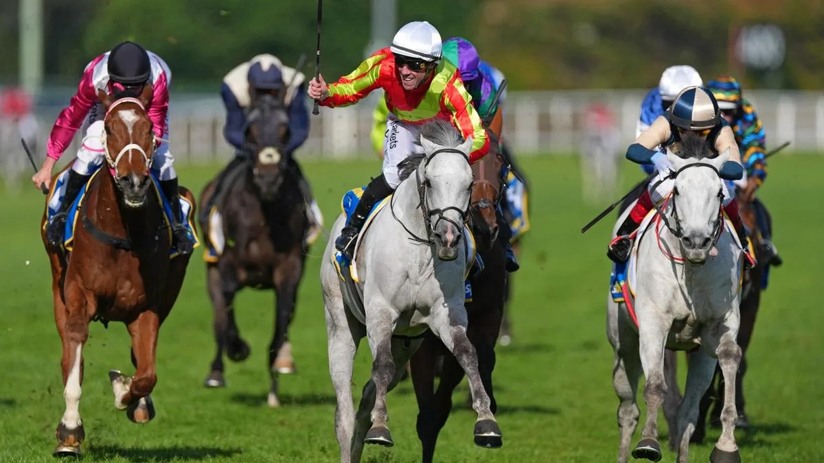 No Melbourne Cup for Kingswood and Half Yours set to miss as fallout continues from tragic Caulfield Cup