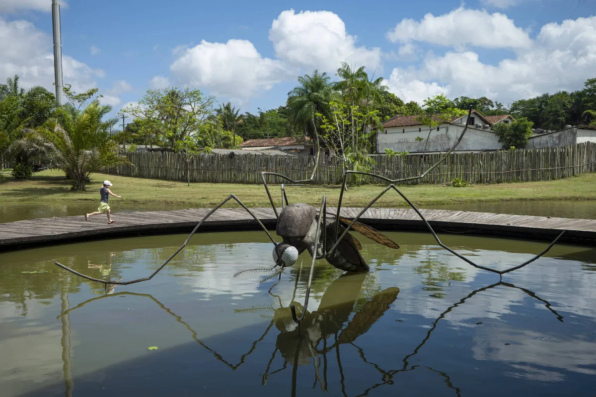 Belém declara guerra contra o mosquito da dengue