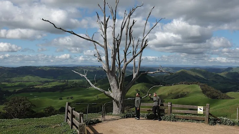 The gruesome tactic locals have resorted to as influencers flock to scenic hilltop lookout