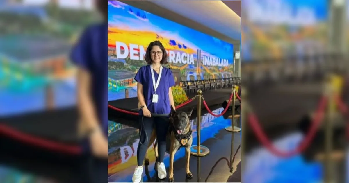 Canil do Senado é fechado por tempo indeterminado após morte de veterinária
