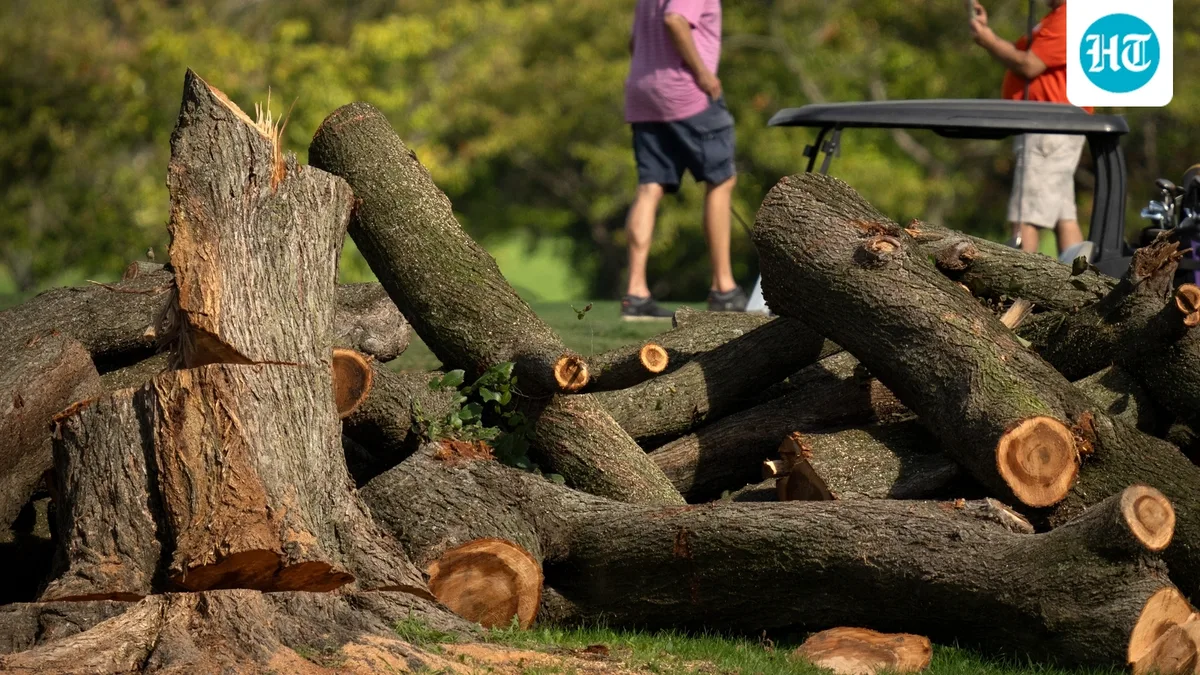 Who is Ana C Reyes? Biden-appointed judge blasts Trump administration over DC golf course tree removal