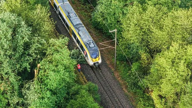 Heruntergefallene Äste: Zug steht nach Unwetter im Südwesten auf freier Strecke