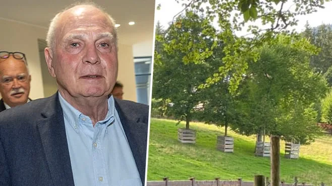 Es ging um zwei Bäume - Uli Hoeneß gewinnt Nachbarschaftsstreit vor Gericht