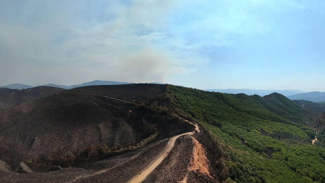 Temperaturas sobem e cerca de 40 concelhos estão em perigo máximo de incêndio