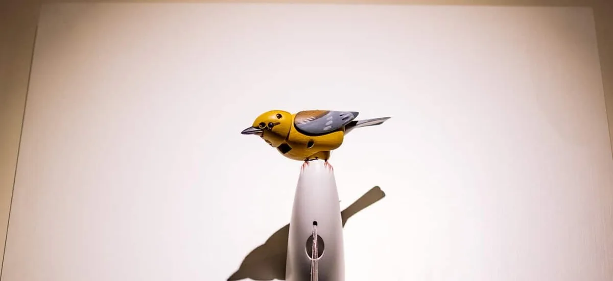 'Asymmetrical social warfare': Kelly Clarkson, a mechanical bird, and store put 'in danger'