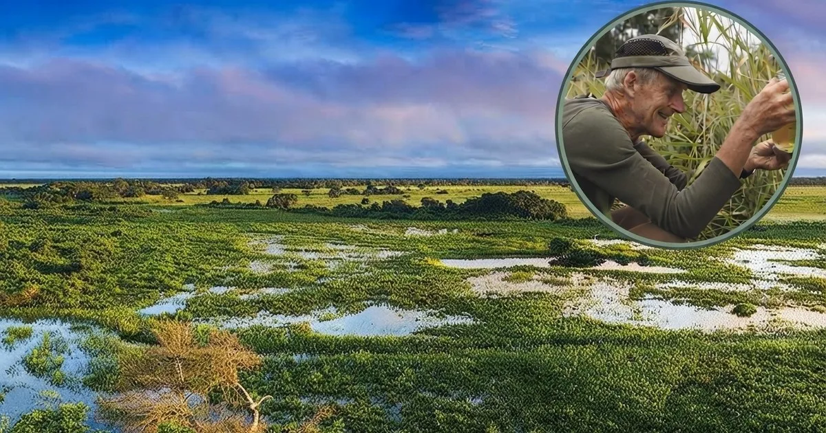Mike Niziolek dedicó treinta años a transformar su propiedad de 60 hectáreas en un humedal; ahora, este antiguo profesor de biología avanzada está creando "biosupermercados" para la fauna silvestre