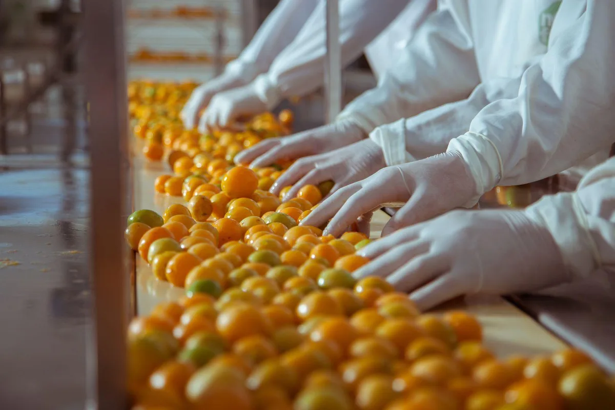 Produção de frutas cresce e movimenta R$ 95,6 bilhões no país