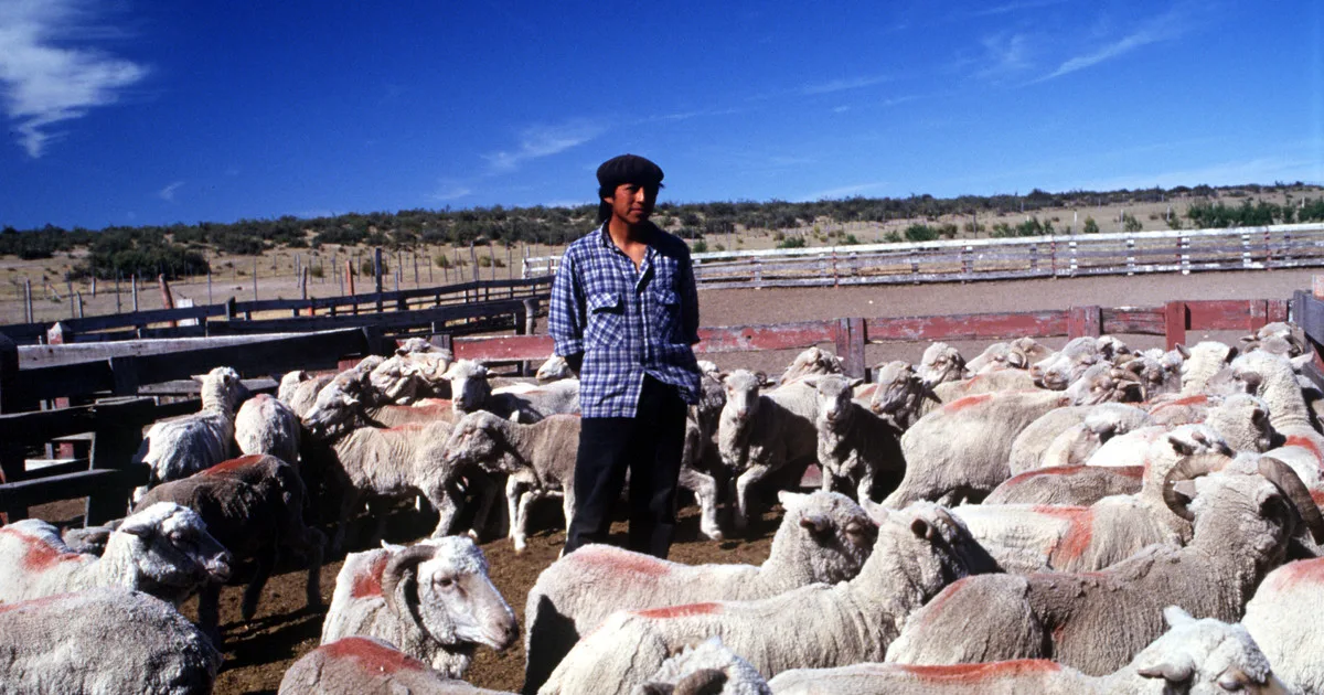 El campo chubutense reclama medidas urgentes para frenar la pérdida de productores