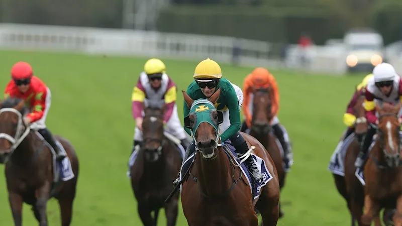 Tips and previews for racing at Randwick on Saturday