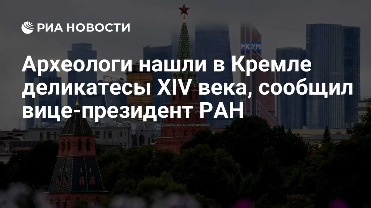 Археологи нашли в Кремле деликатесы XIV века, сообщил вице-президент РАН