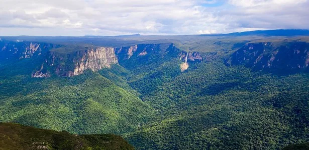 Expedição inédita vai mapear a biodiversidade do topo da Serra do Aracá, no norte do Amazonas