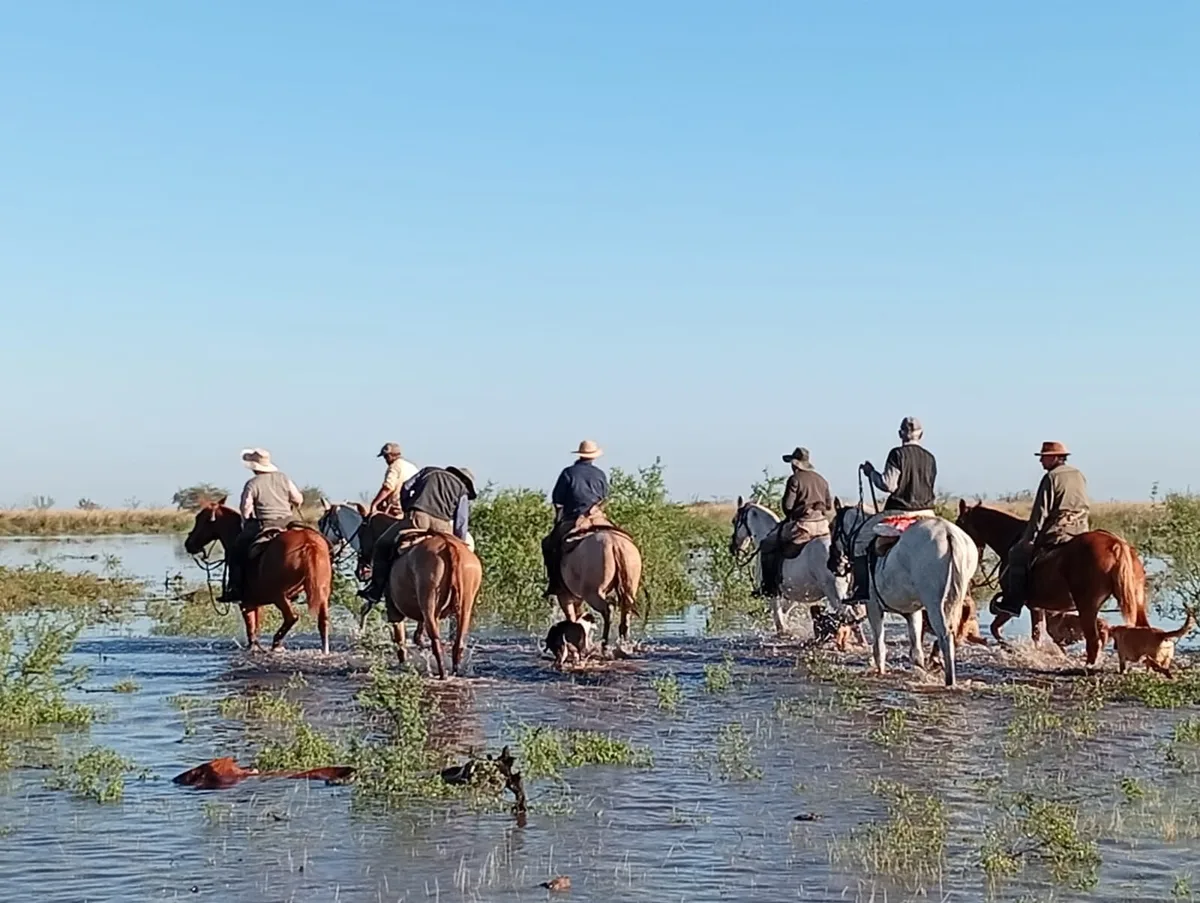 Preocupación por las inundaciones en Santa Fe: los productores rurales pierden animales y temen por el “Súper Niño”