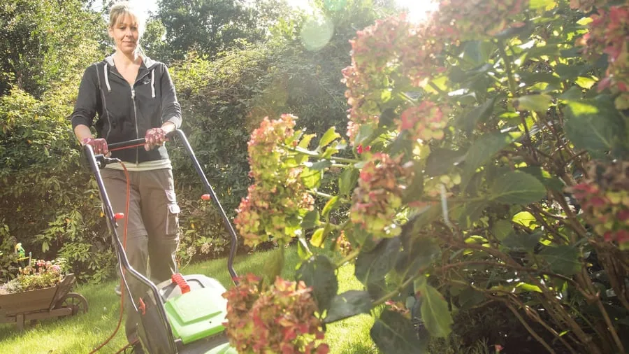 Für Hecken, Bäume, Rasen: Minijobber für Gartenarbeit bringt nicht nur Steuervorteil
