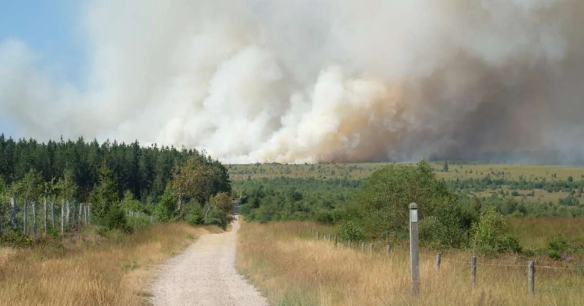 Bélgica enfrenta o pior incêndio florestal da história do país