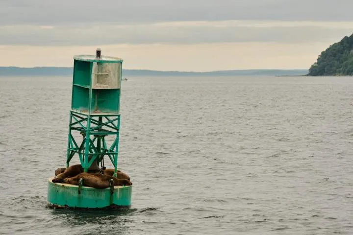 Canadian buoy found on shore of Irish island after journey across Atlantic
