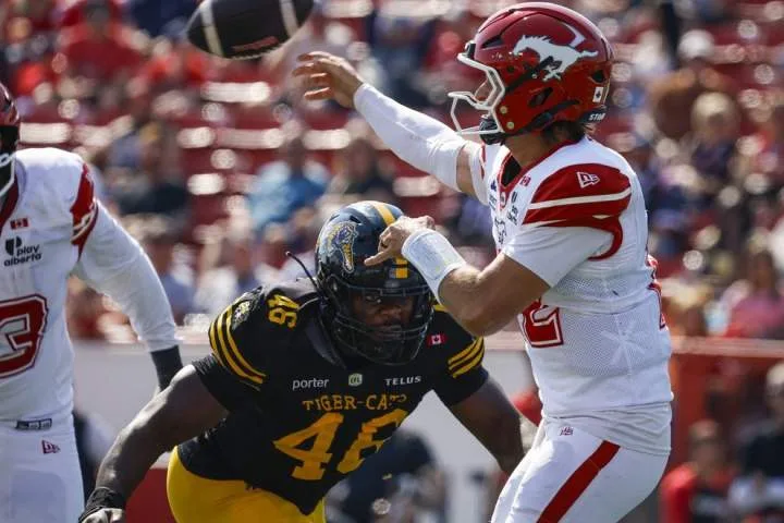 Stampeders score late for 28-23 win over Ticats