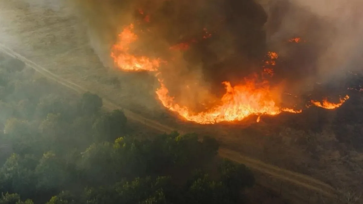 El Niño: governo Lula coloca 399 municípios sob alerta para incêndios em setembro e outubro
